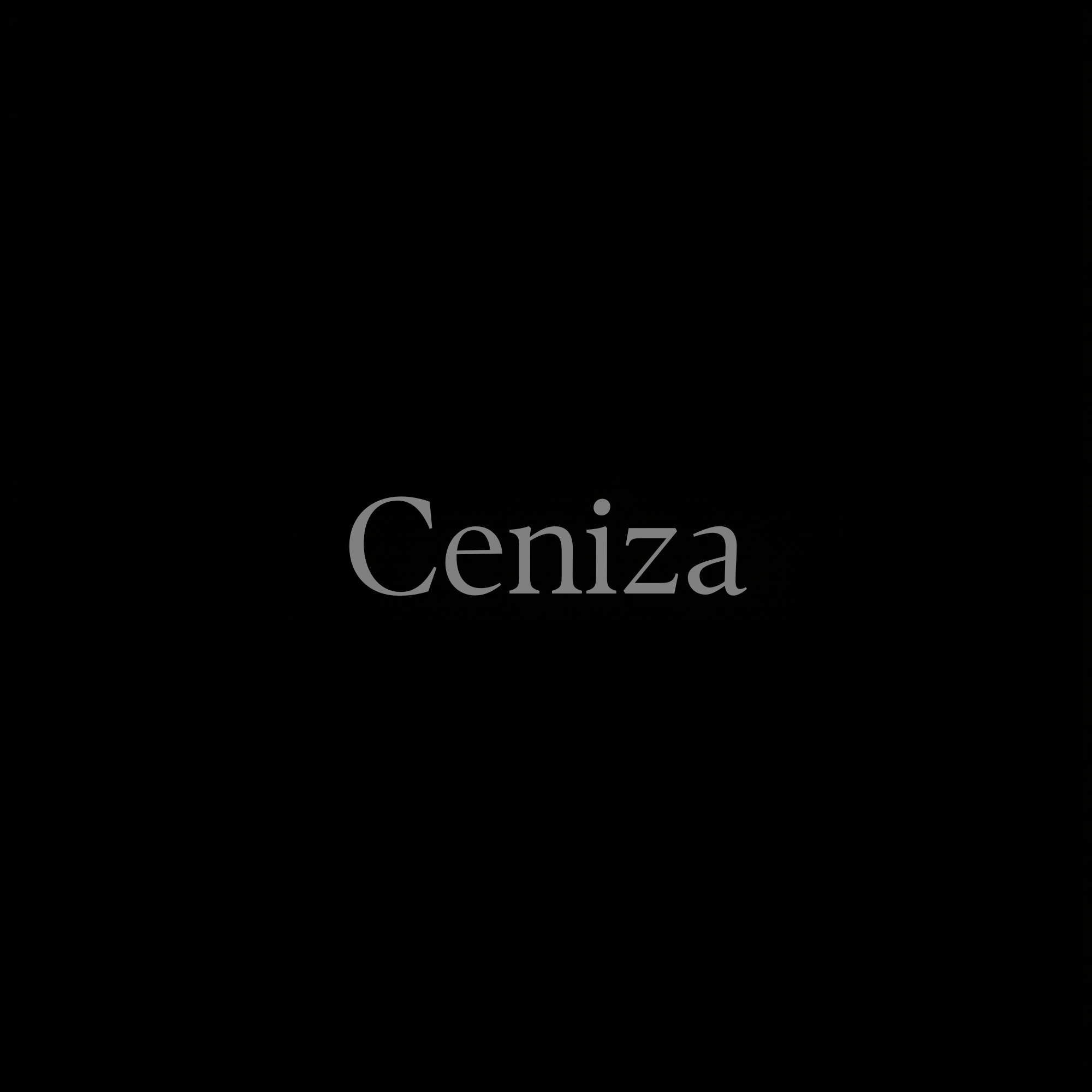 Ceniza logo direction 01