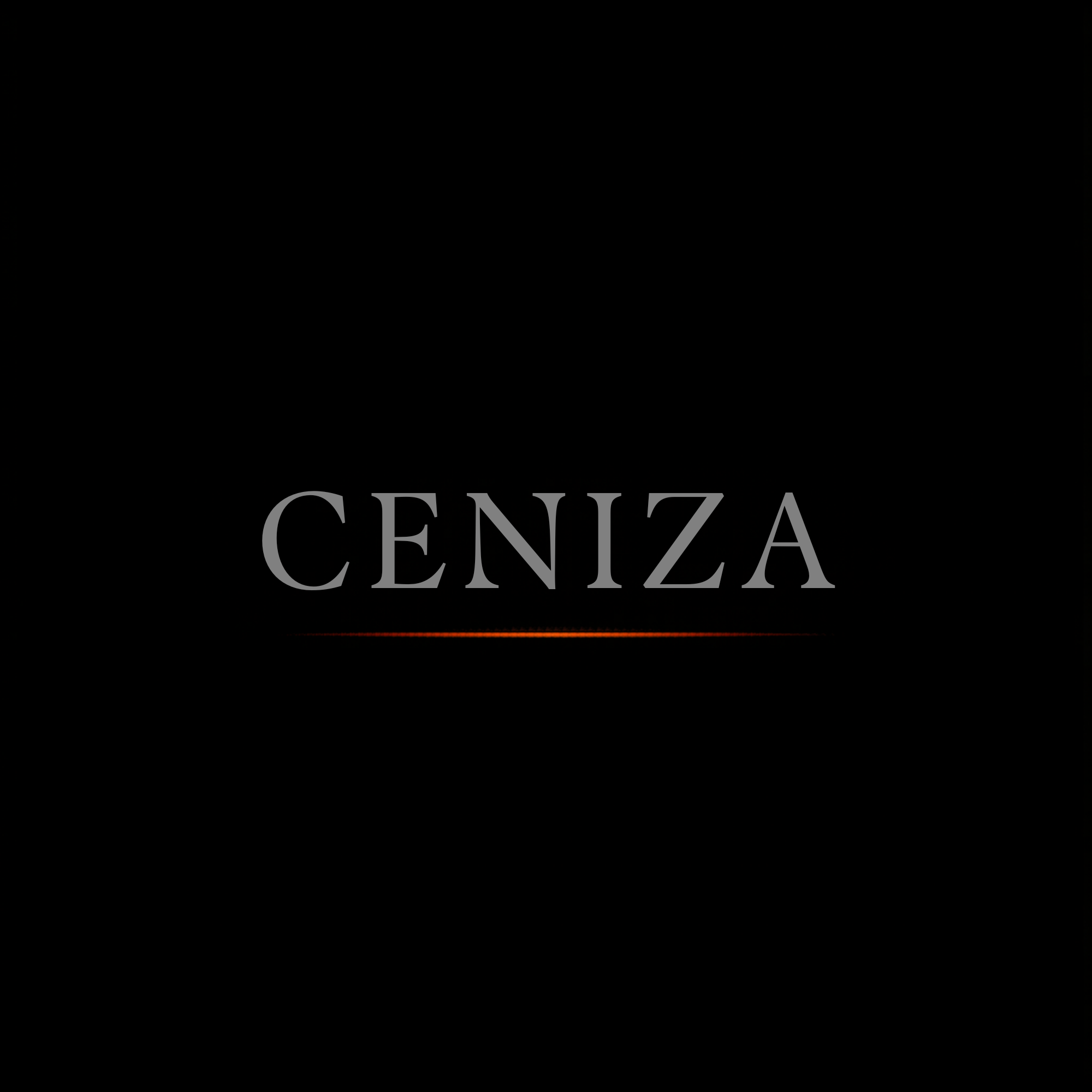 Ceniza logo direction 02