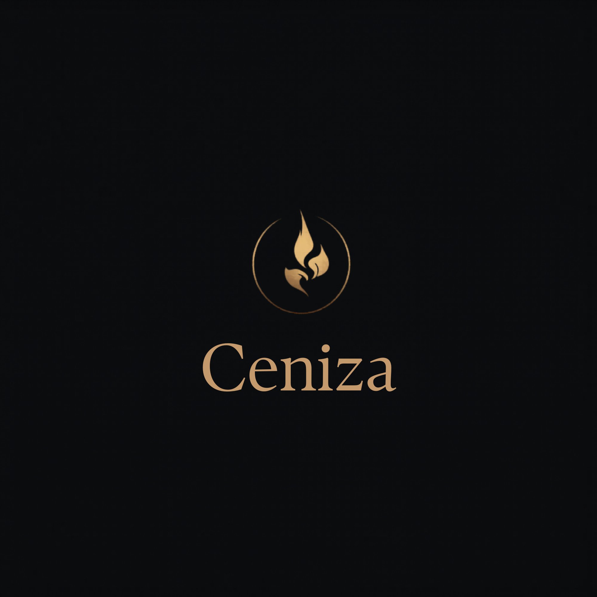 Ceniza logo direction 03