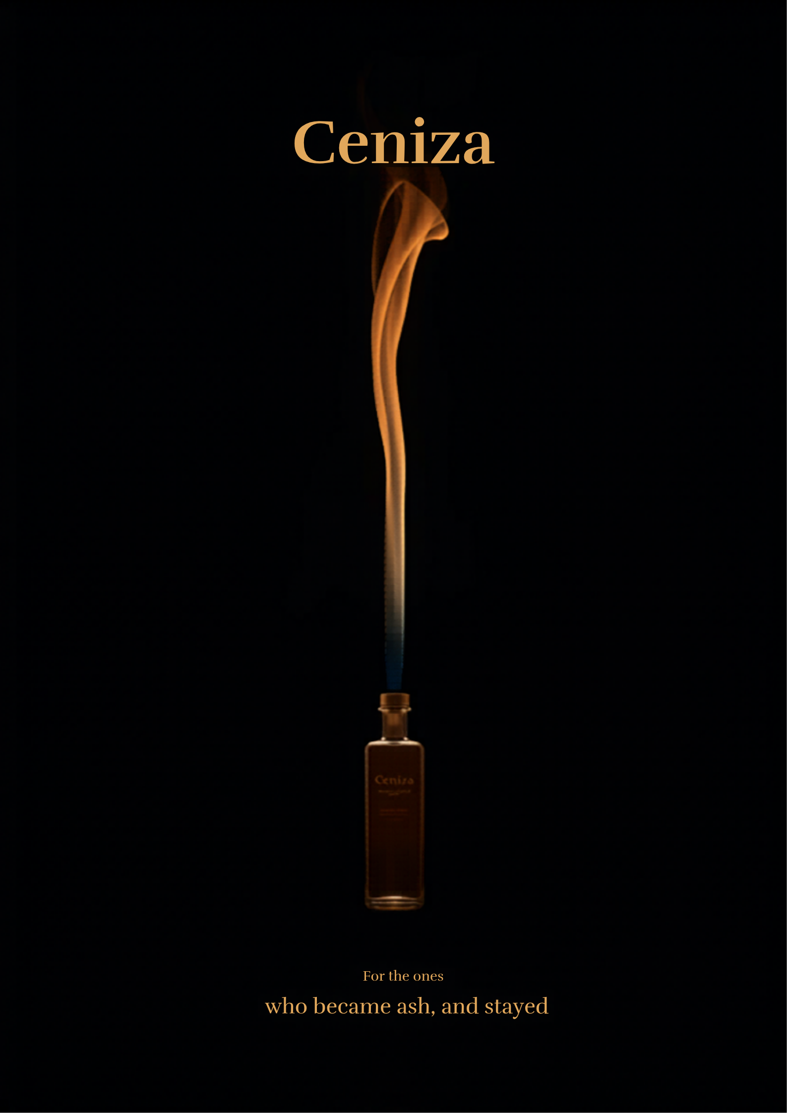Ceniza poster mockup 02
